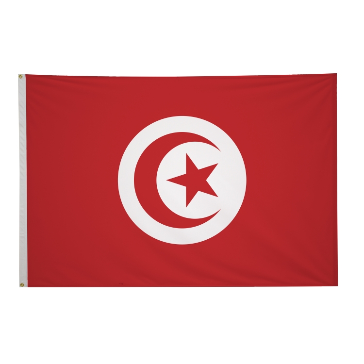 4' x 6' International Flags 146
