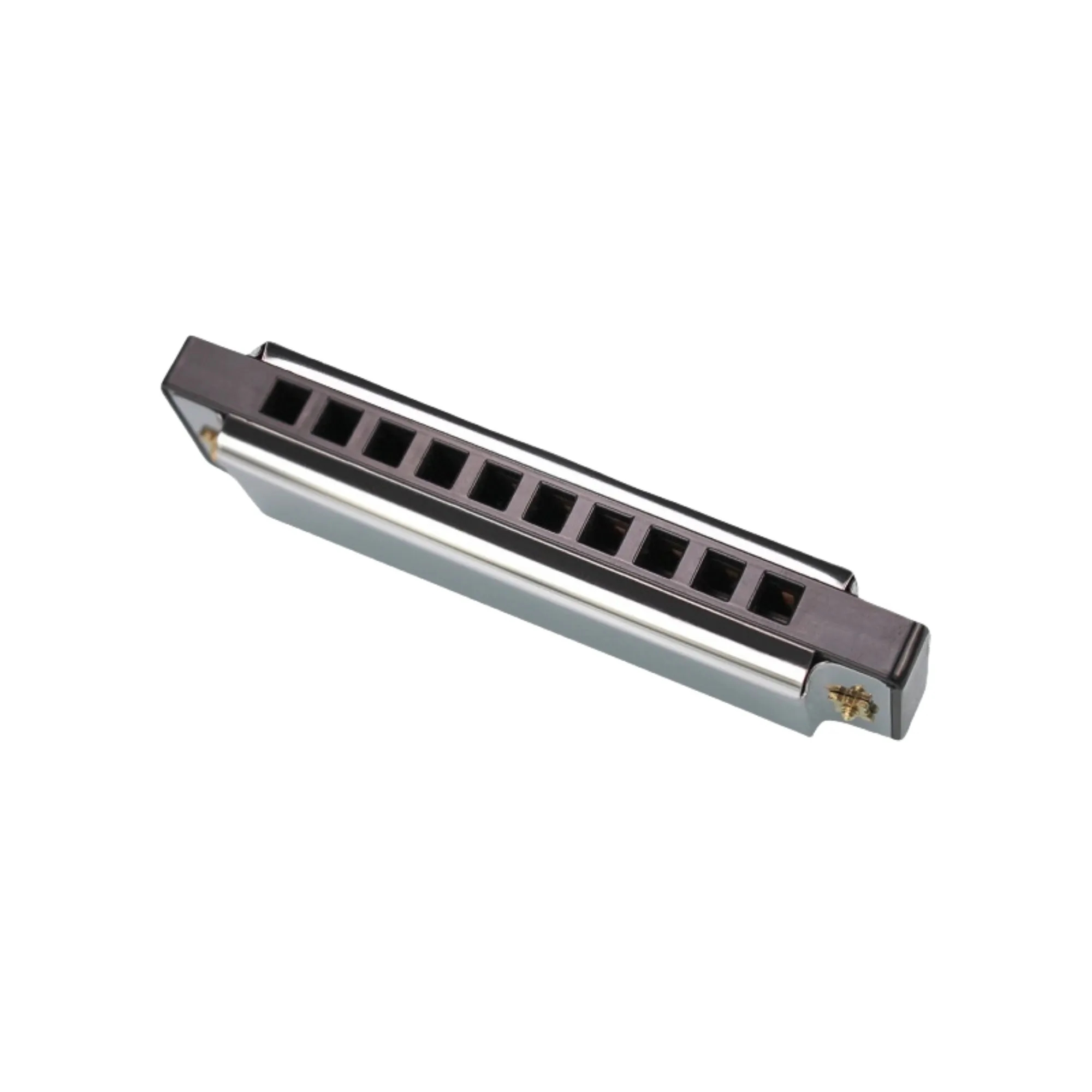 10 Holes 20 Tunes Mouth Organ Blues Deluxe Harmonica Gift 3