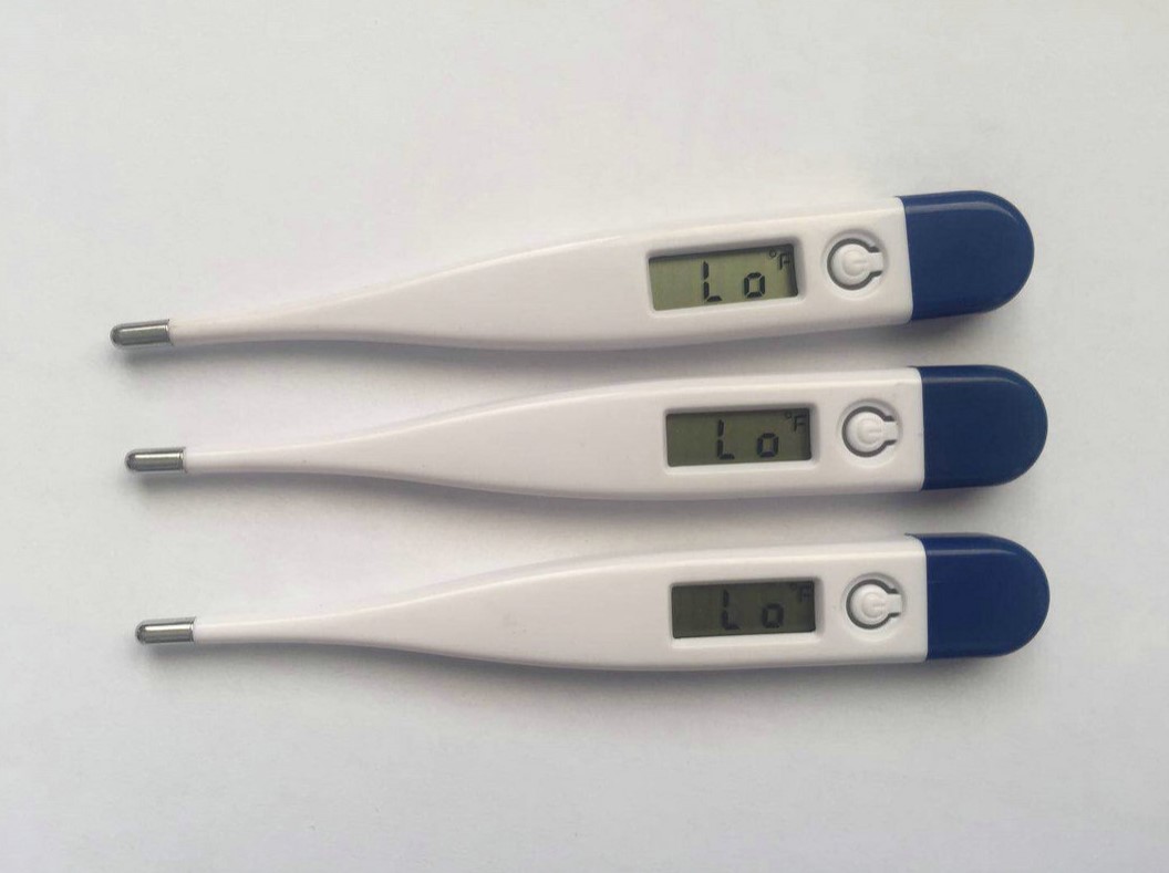 Christmas Portable Digital Thermometer 10