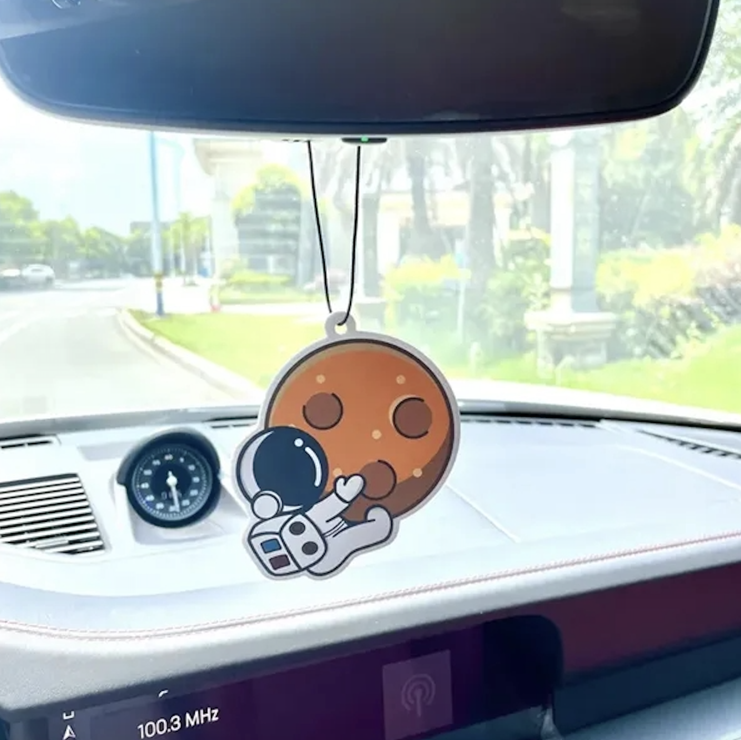 Automotive Air Freshener 2
