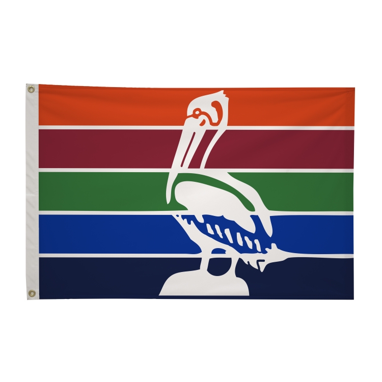 2' x 3' City Flags 79