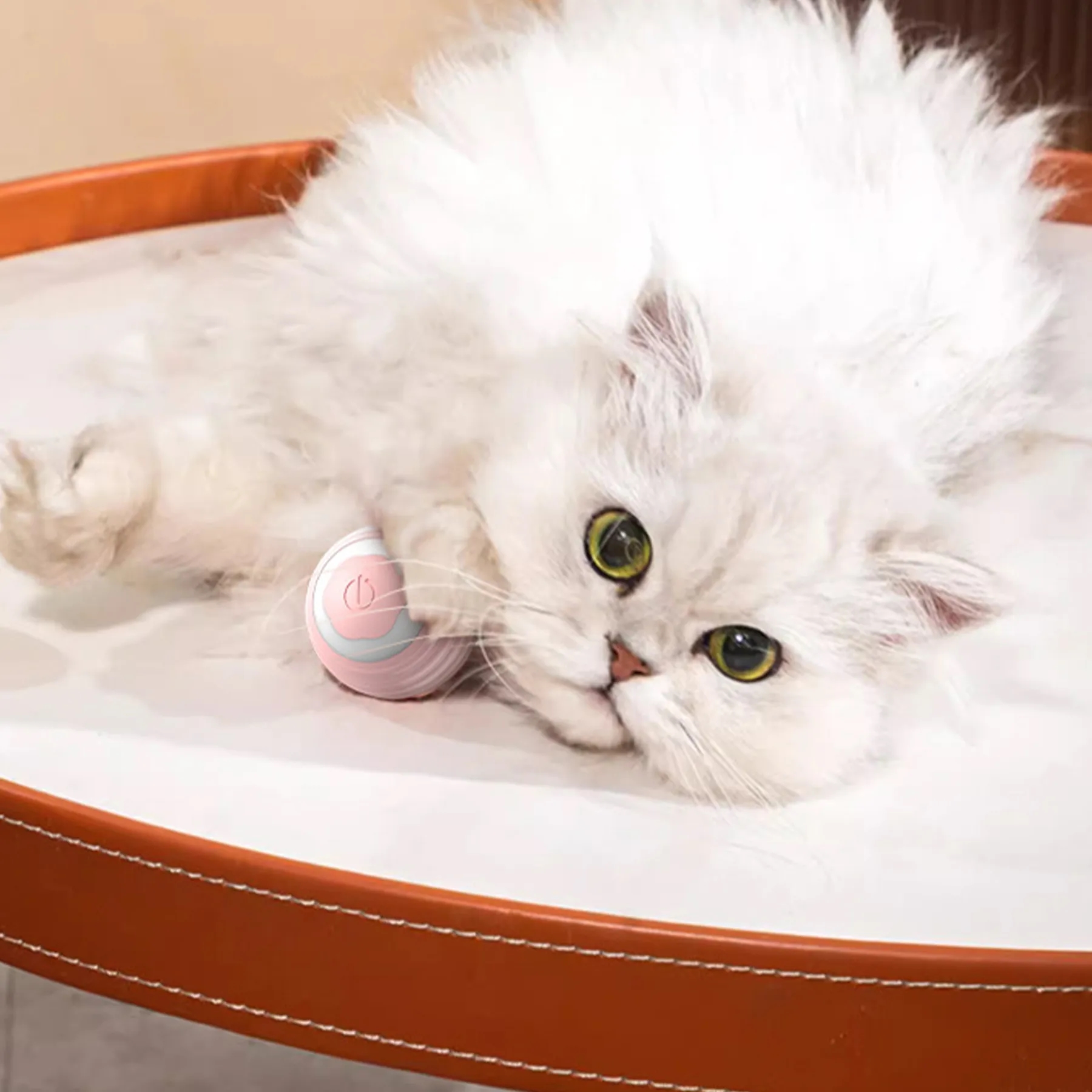 Silicone Automatic Cat Teasing Ball 2