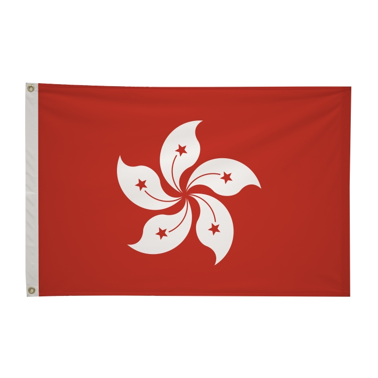 2' x 3'International Flag 29