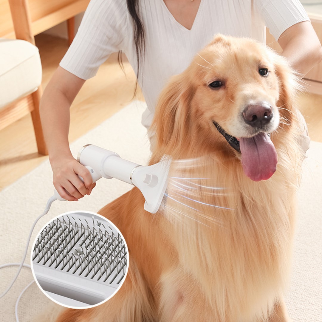 2 in 1 Pet Grooming Hair Dryer 4