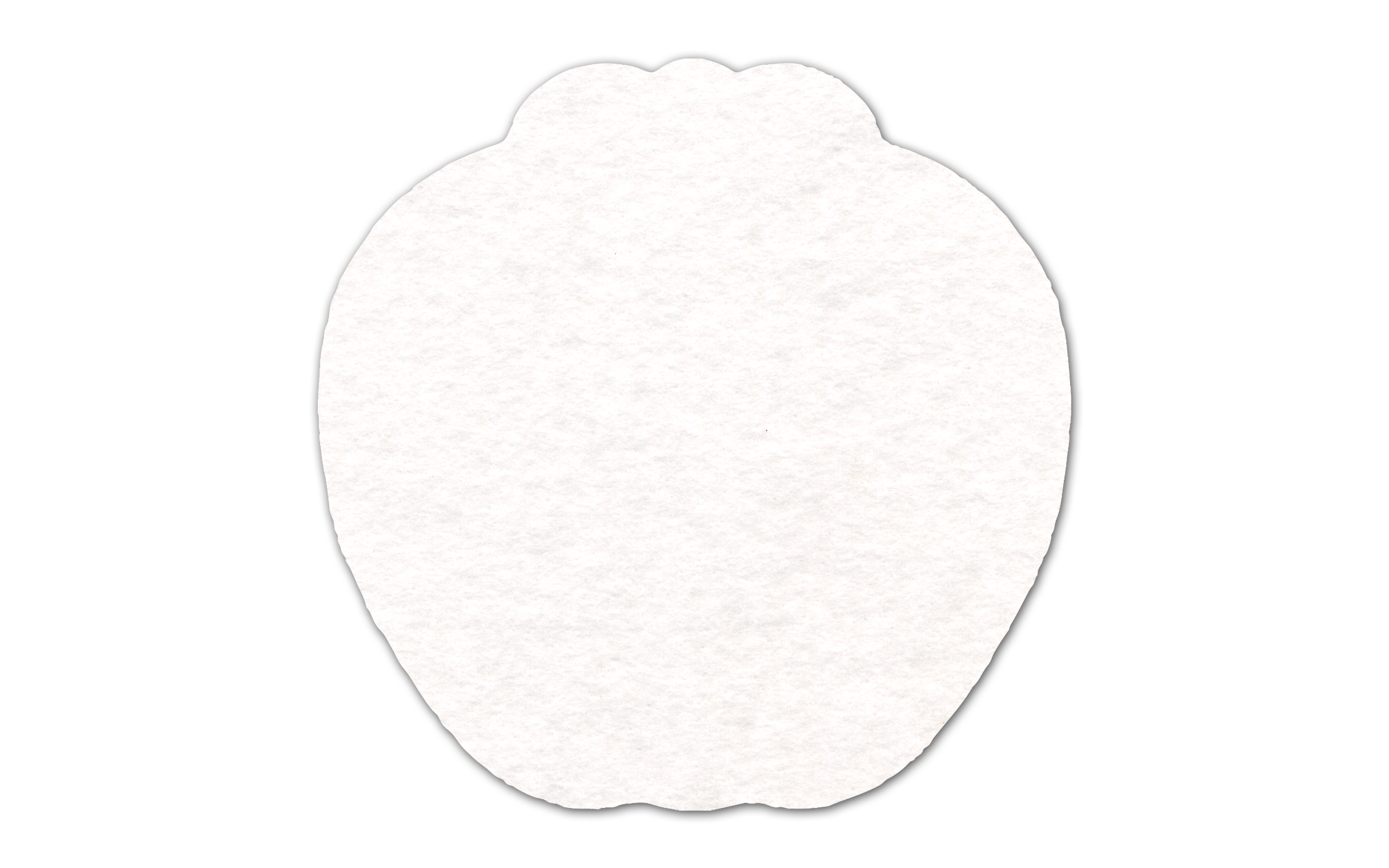 Apple Shammy Coaster 1
