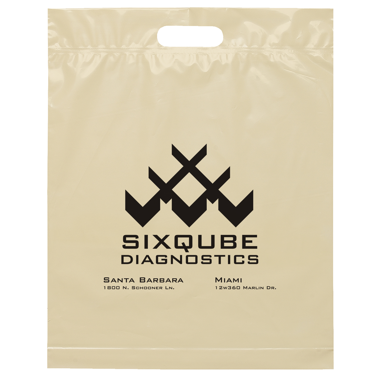 Die Cut Handle Bag - 15W x 19H x 3 - Flexo Ink Print 10