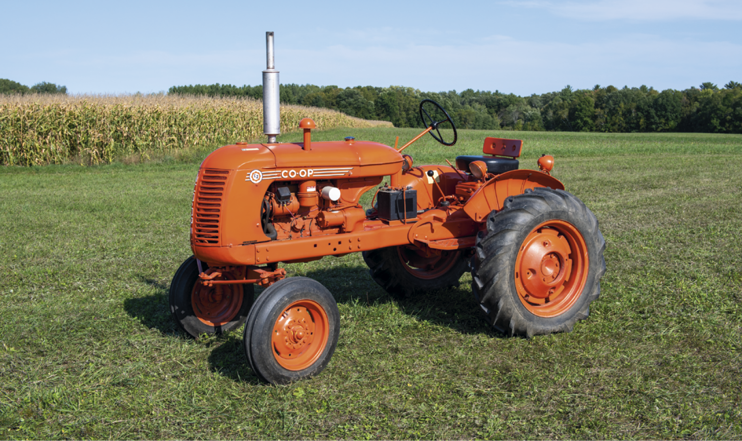 Triumph® Calendars Home Cooking Guide Pocket Calendar