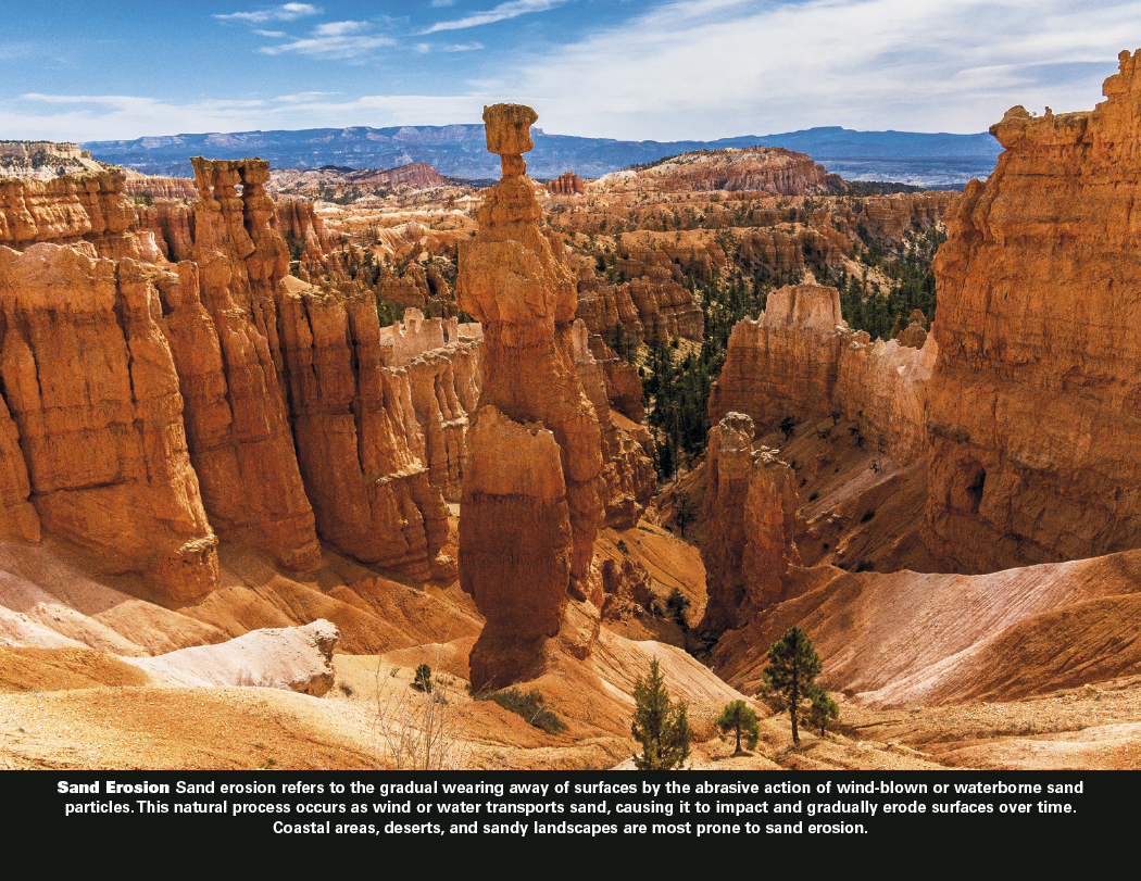 Good Value™ The Power of Nature - Stapled Calendar 42