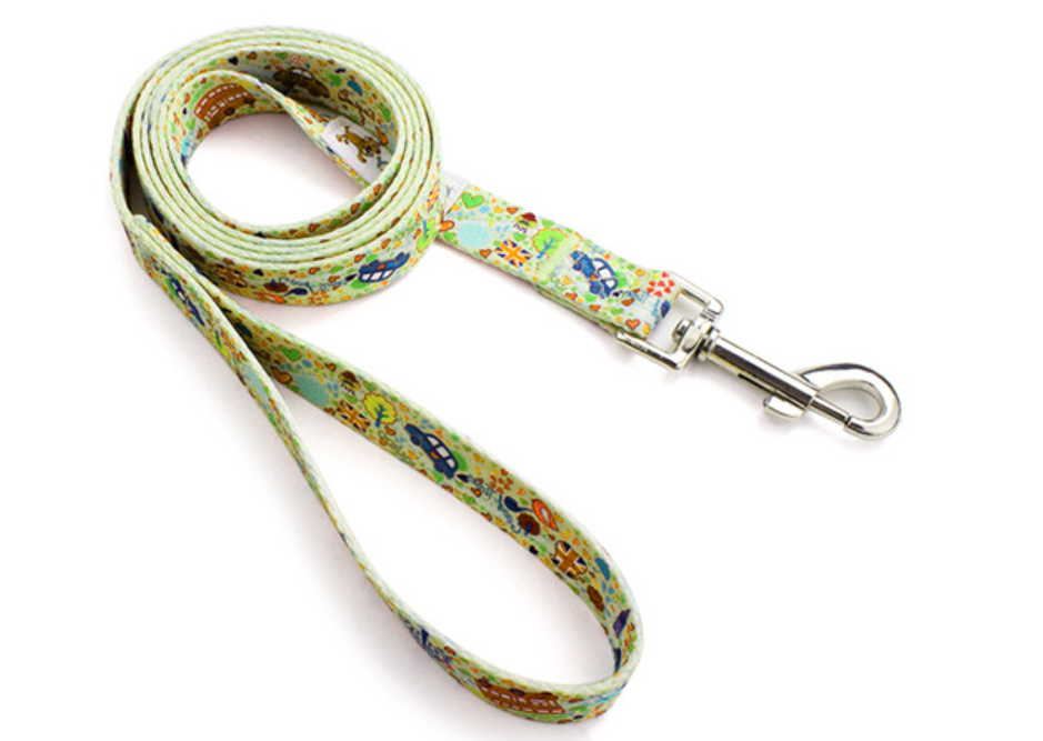 Dog Leash 1