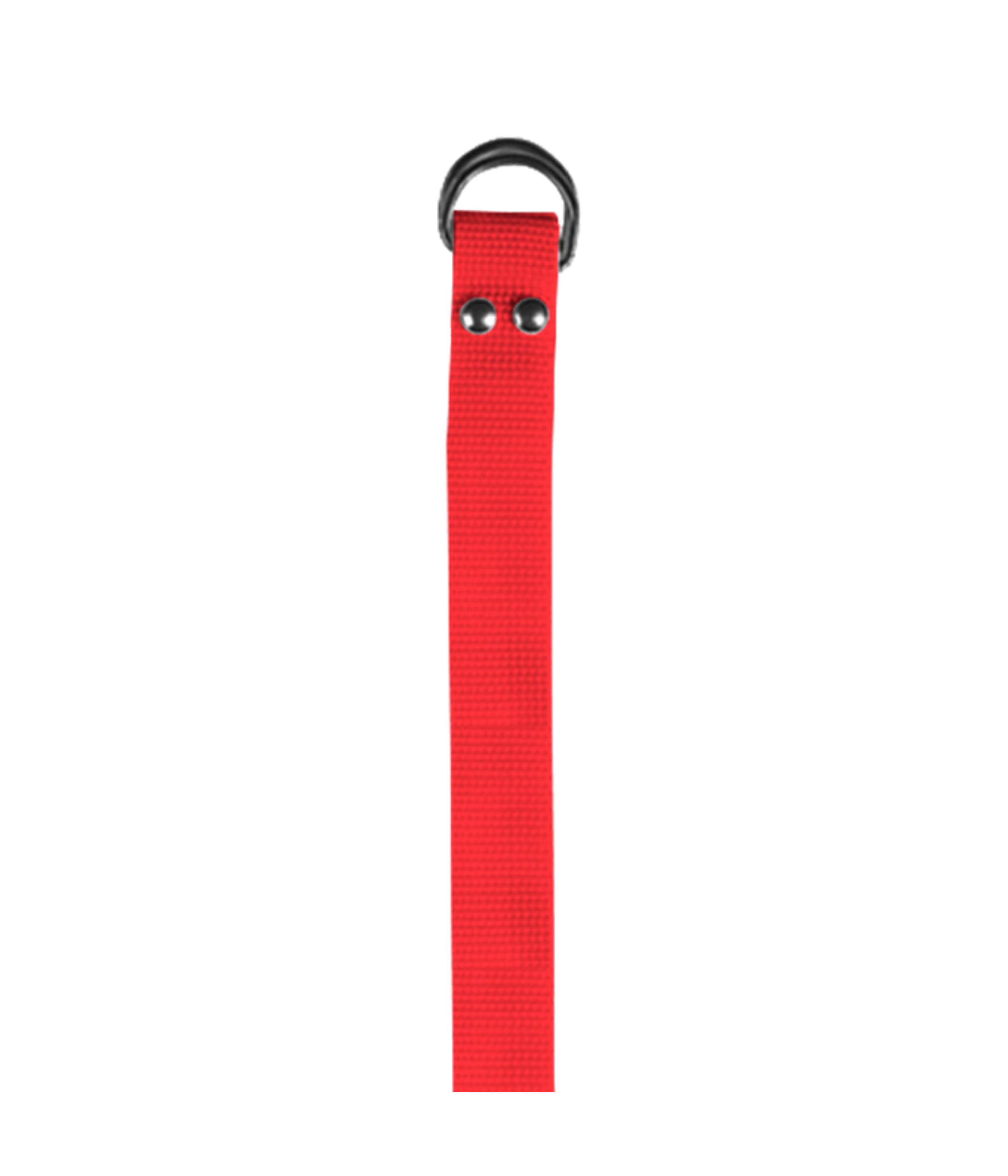 FOOTBALL BELT 12