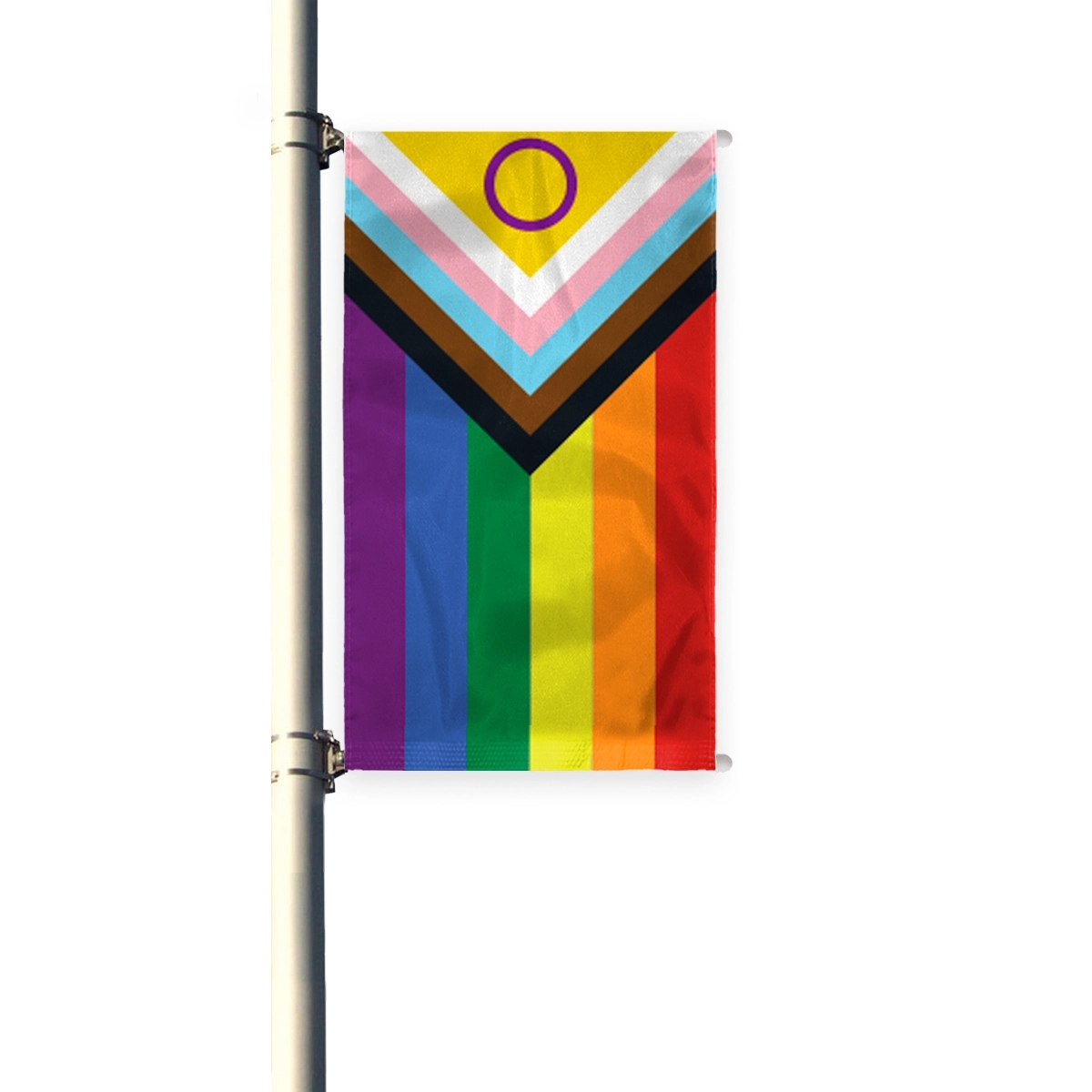 3'x8' Intersex Progressive Pride Pleated Light Post Banner 1