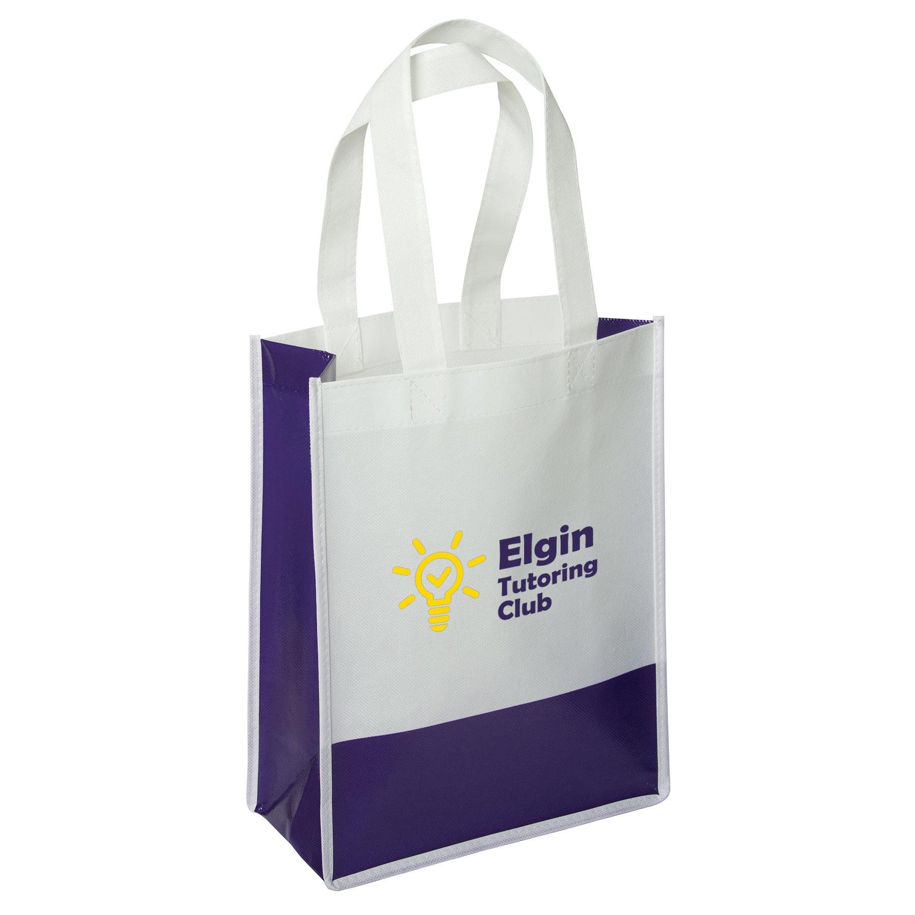 Andover Way Small Laminated Bag 5