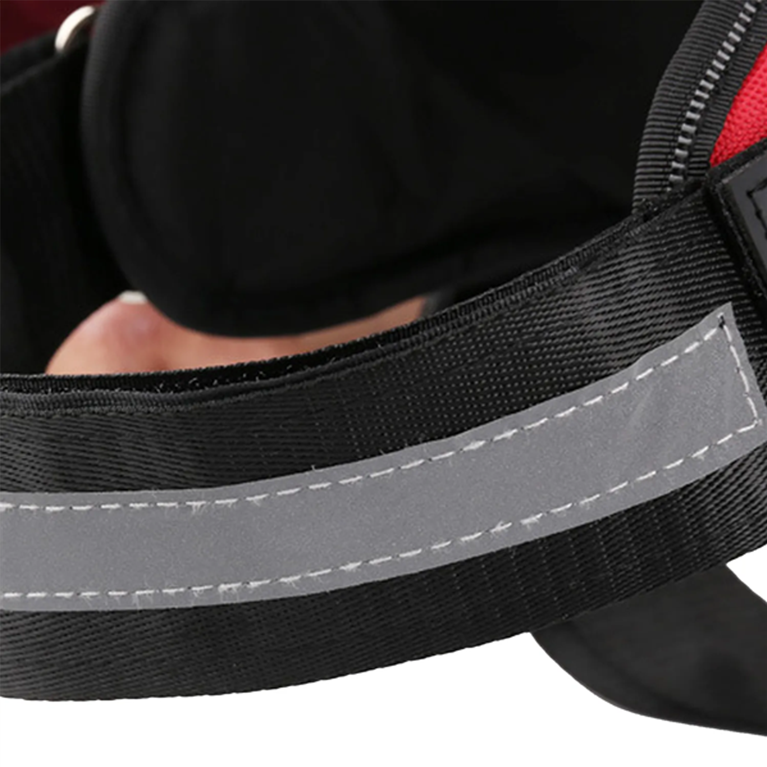 Pet Harness 1