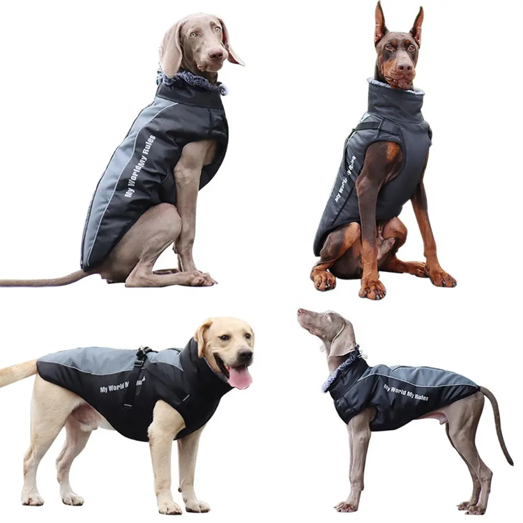 Windproof and Warm Dog Jackets 3