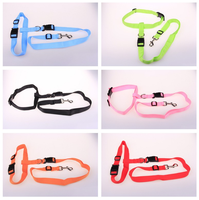 pet running leash 4