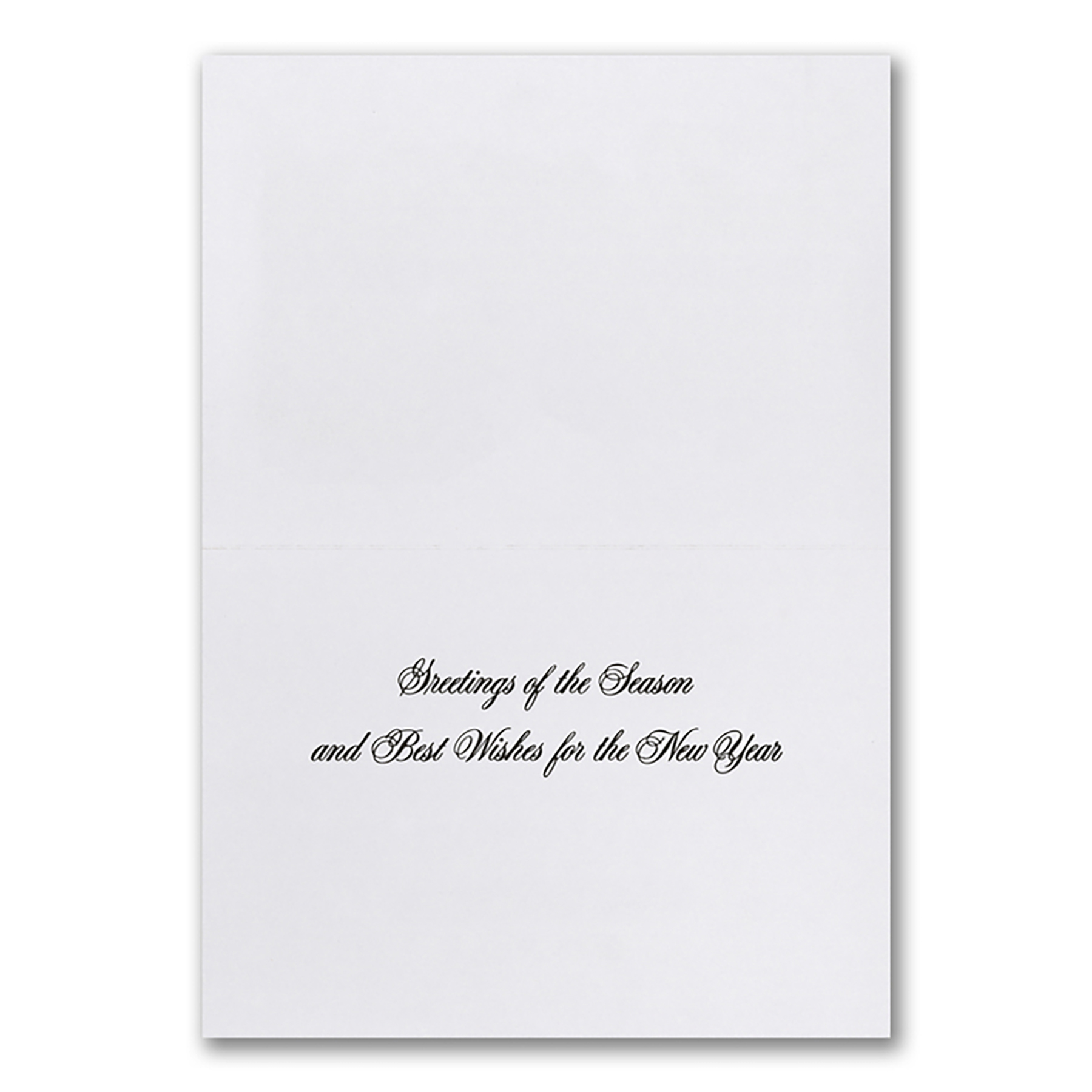 Display With Pride Economy Holiday Card 2