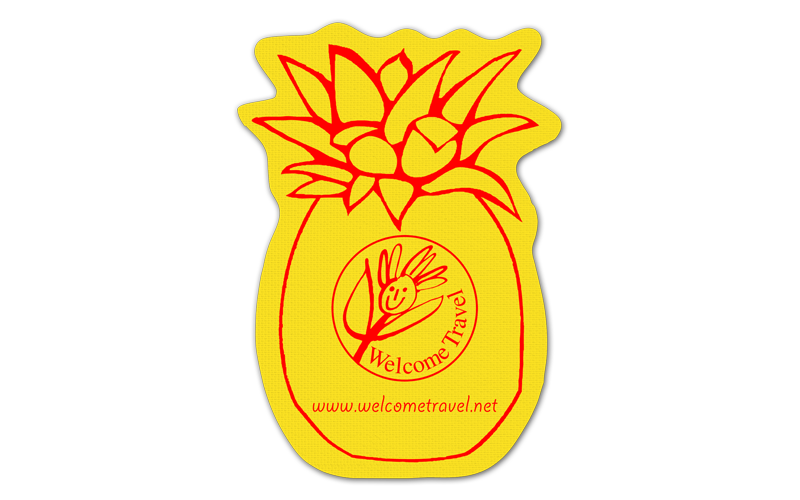 Pineapple Vinyl Jar Opener 74