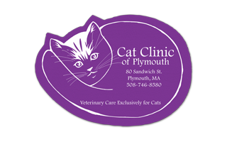 Cat Vinyl Jar Opener 85