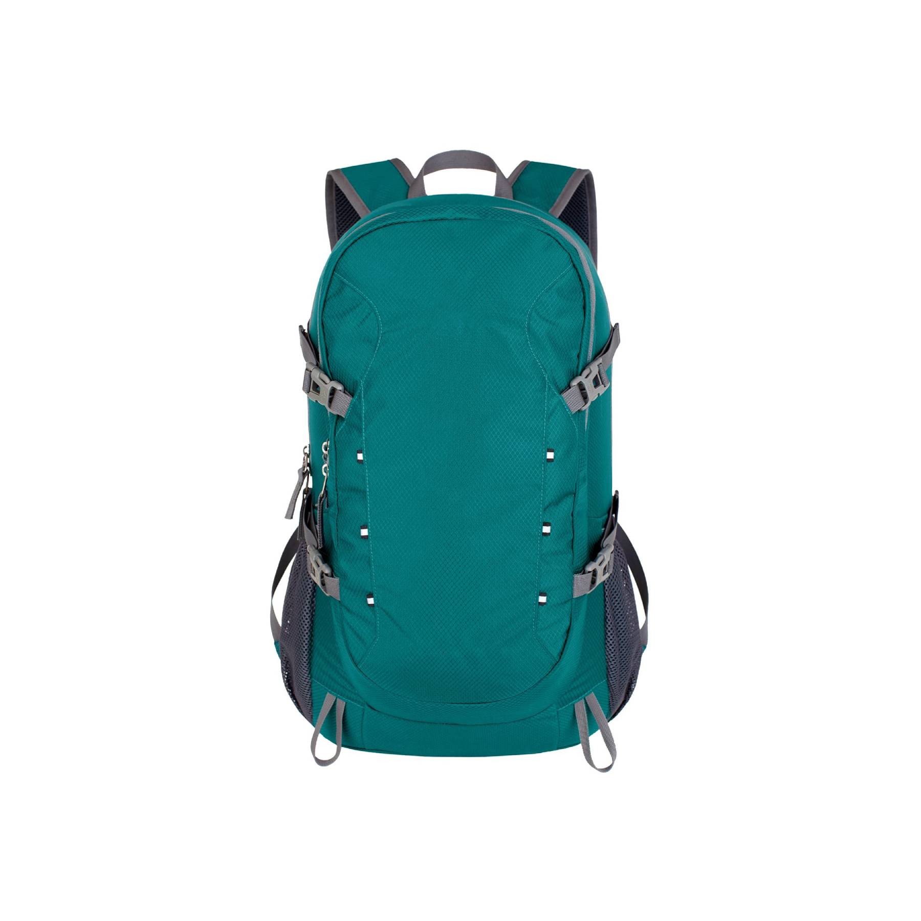 Folding Backpack 1