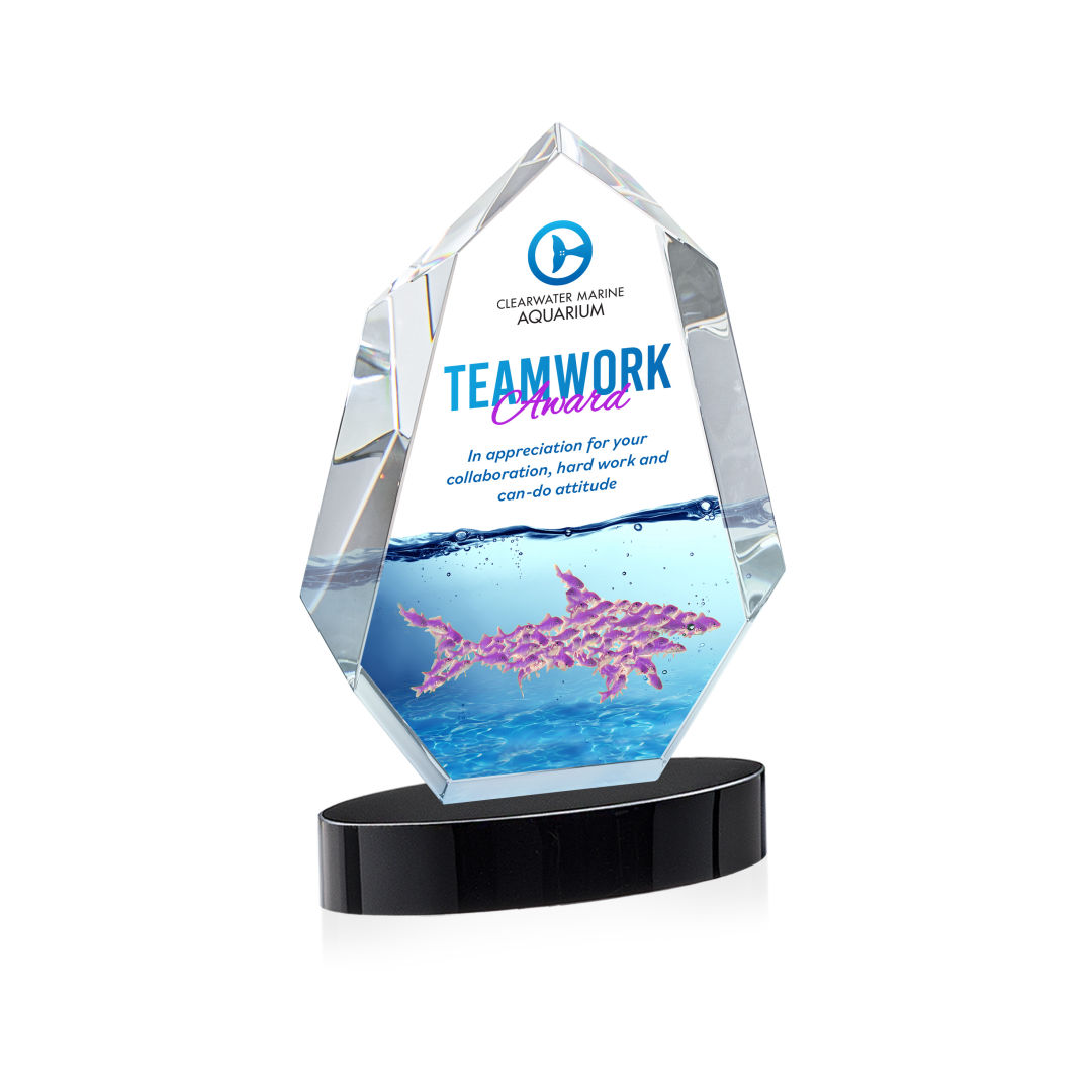 Norwood VividPrint™ Award on Alberton Base - Black 6