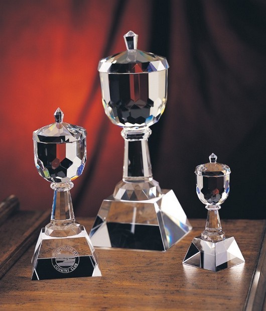 Designer Crystal Trophy Cup Award 1