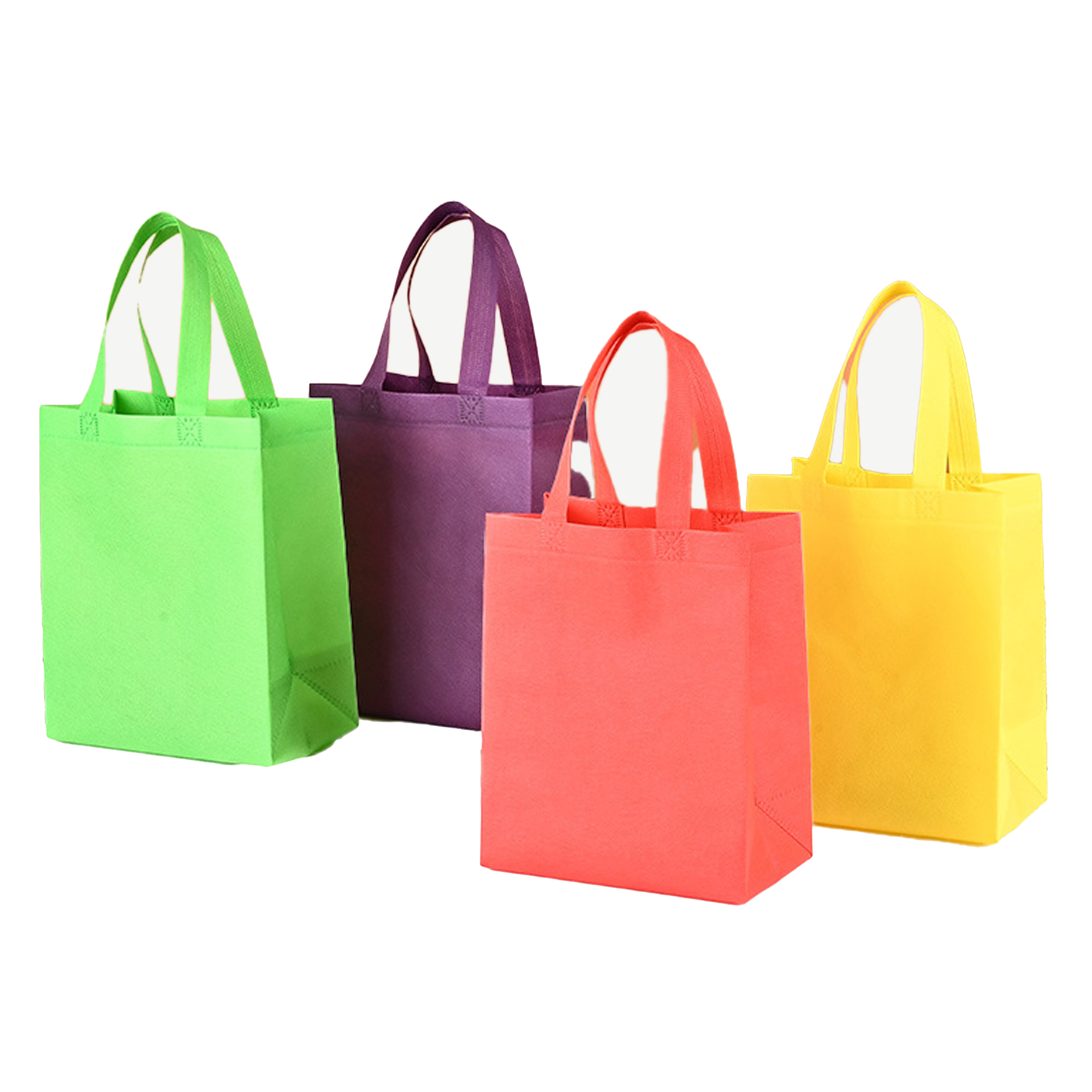Non-woven Gift Bag 1