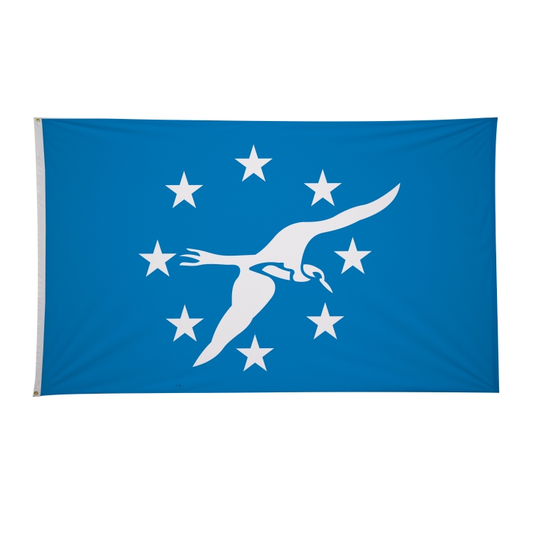 6' x 10' City Flags 71