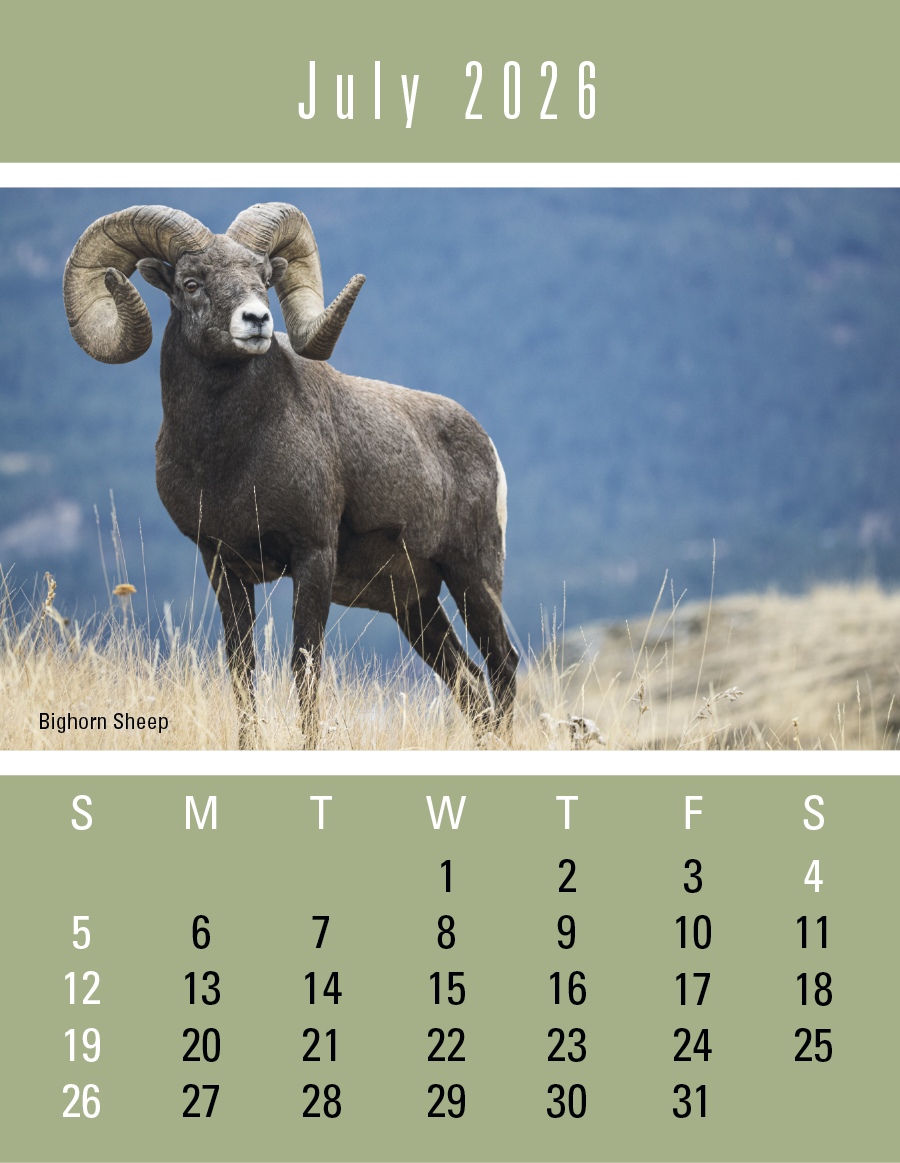 Press-N-Stick Sportsmen Calendar