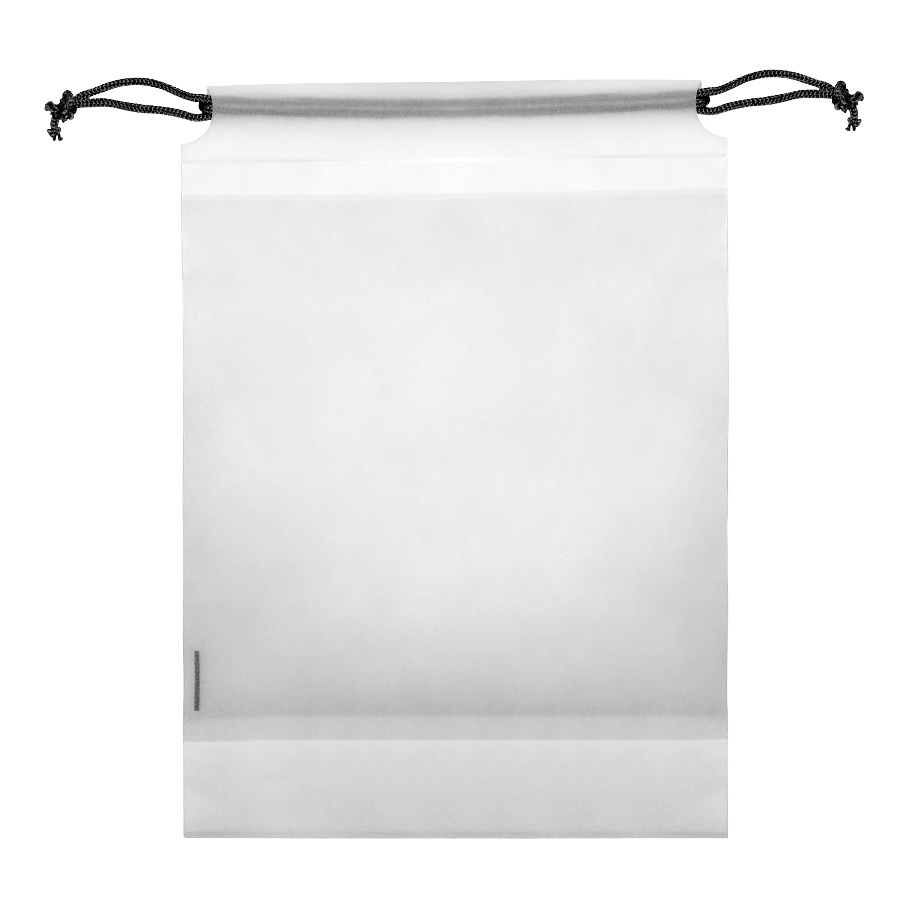 Clear PE Shoe Bags for Travel 9
