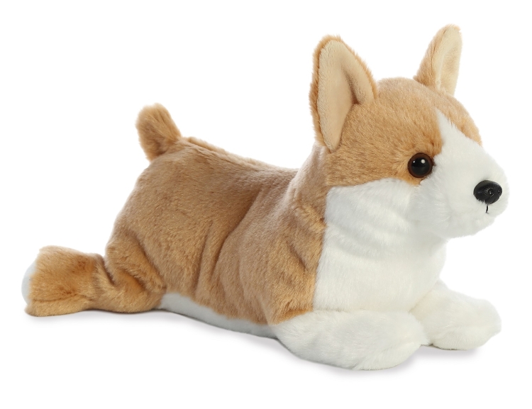 Grand Series 12" Grand Corgi 2