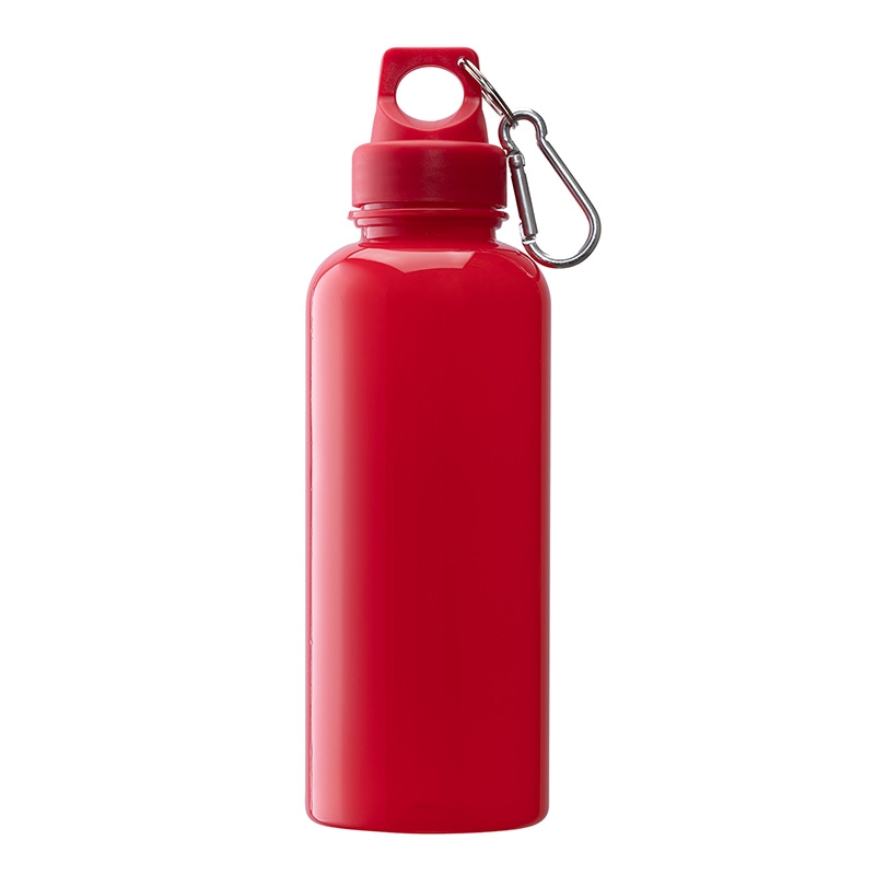 Brio 20 oz. PS Water Bottle w/ Carabiner 69