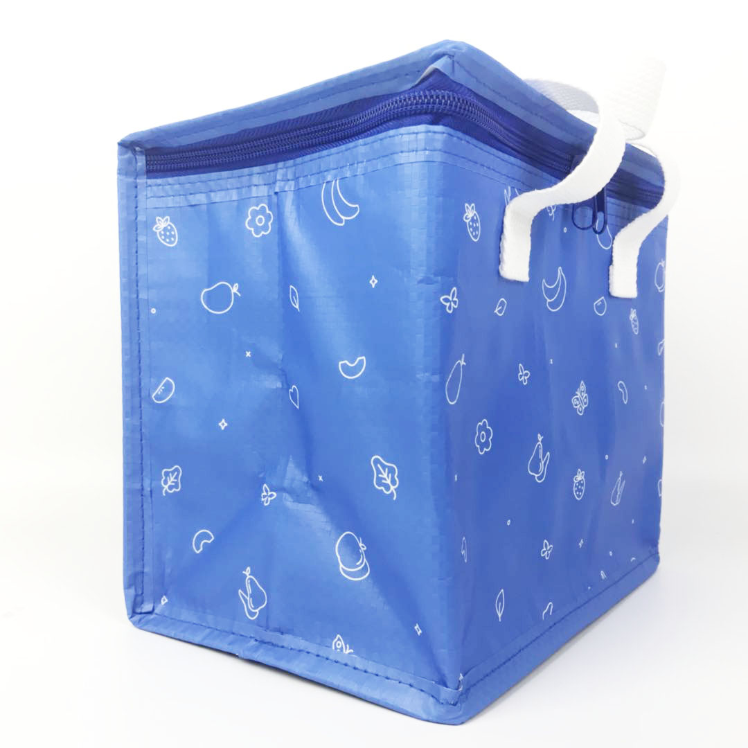 Custom Logo Fashion PP Woven Insulated Tote 12v Cooler Bag 3