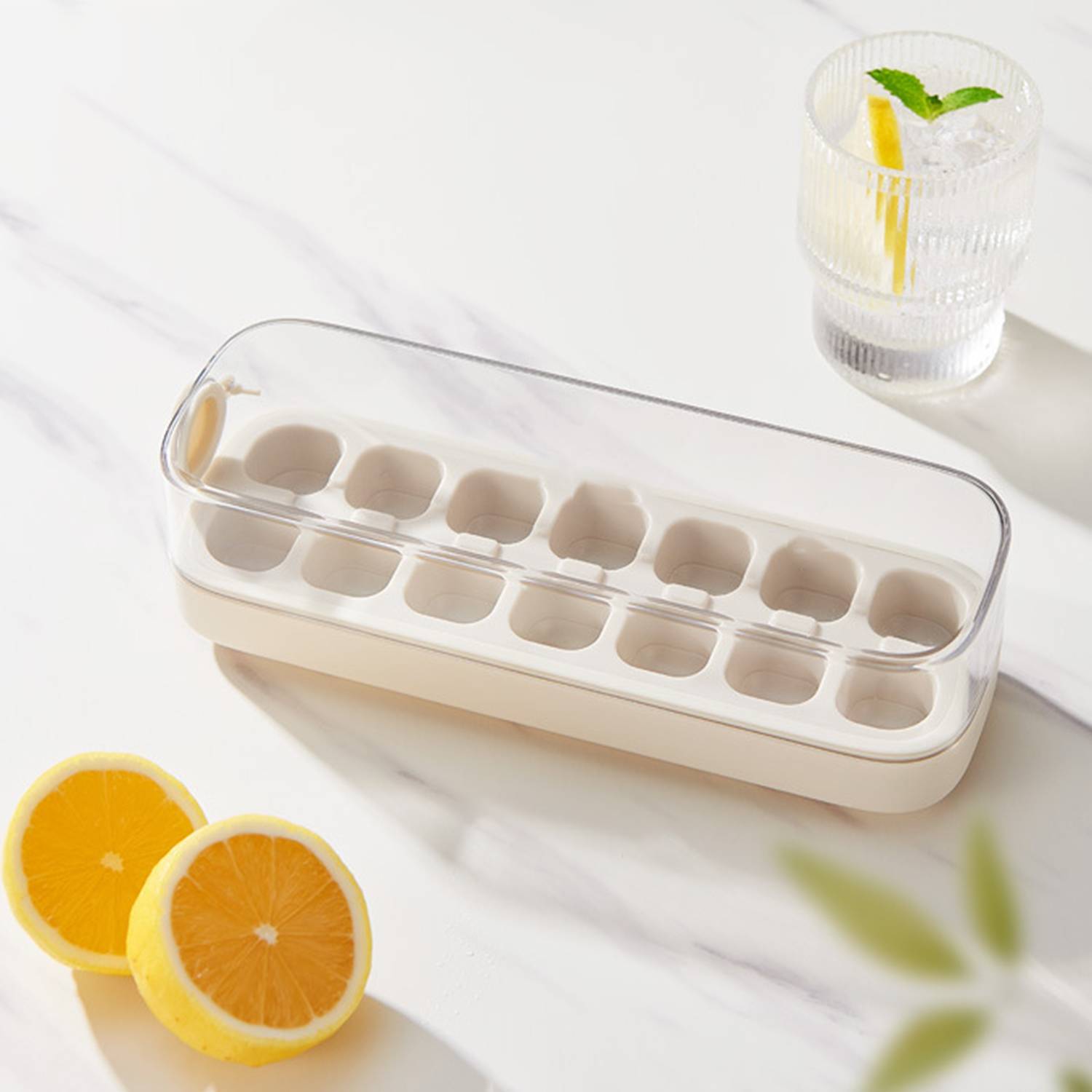 Ice Cube Mold Box 2