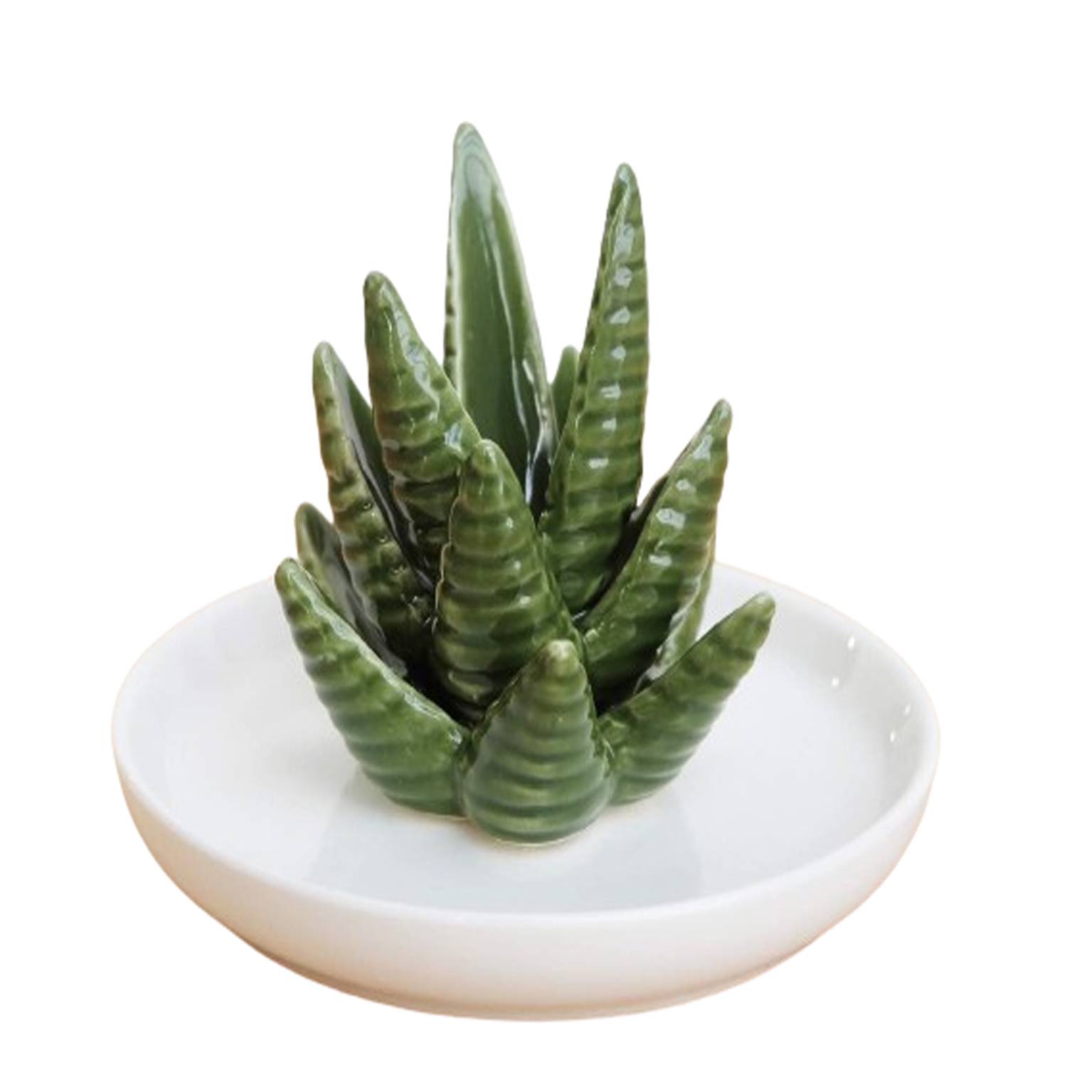 Cactus Decorative Dish Tray 3