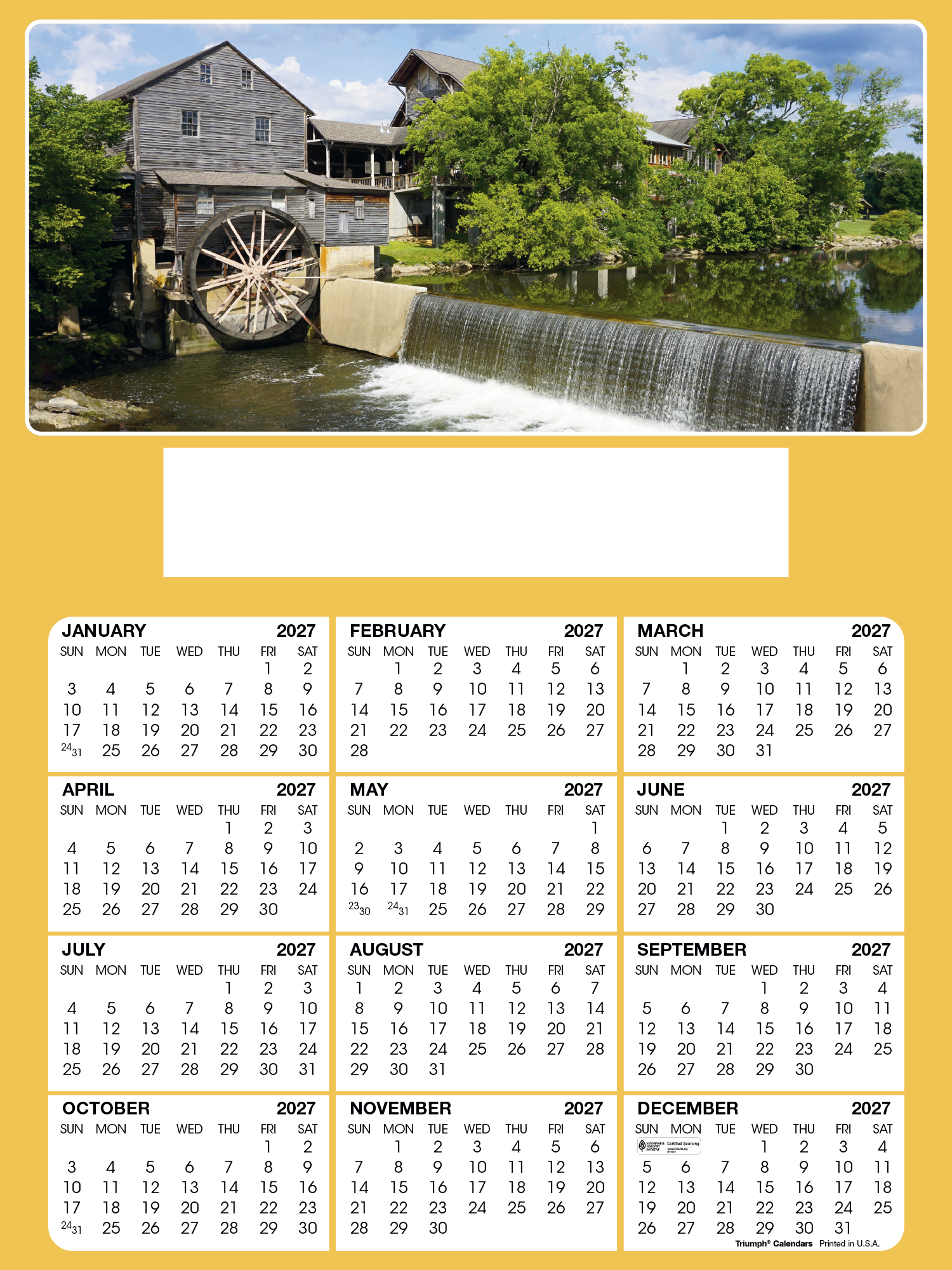 Skinner & Kennedy® Display-A-Year 6