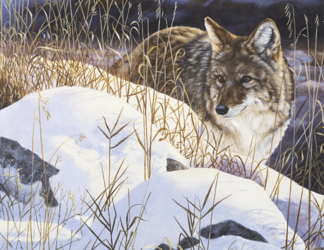 Good Value™ Wildlife Canvas - Stapled Calendar 31