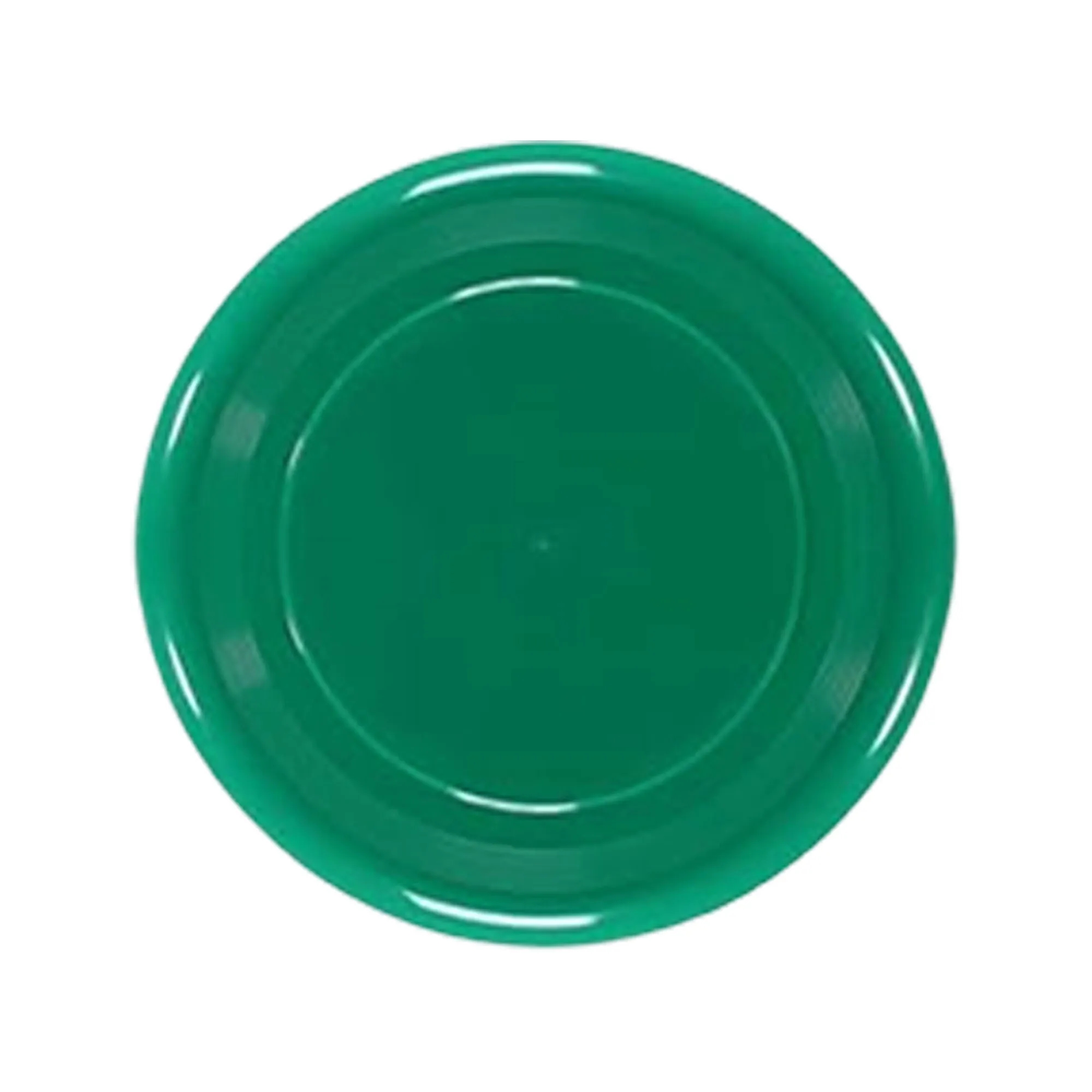 9 Inch Plastic Flying Disc 6