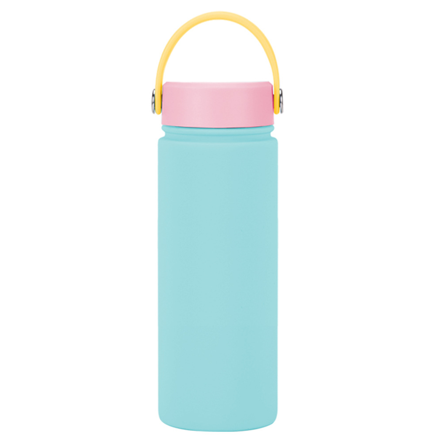 Stainless Steel Travel handled Water Bottle 21