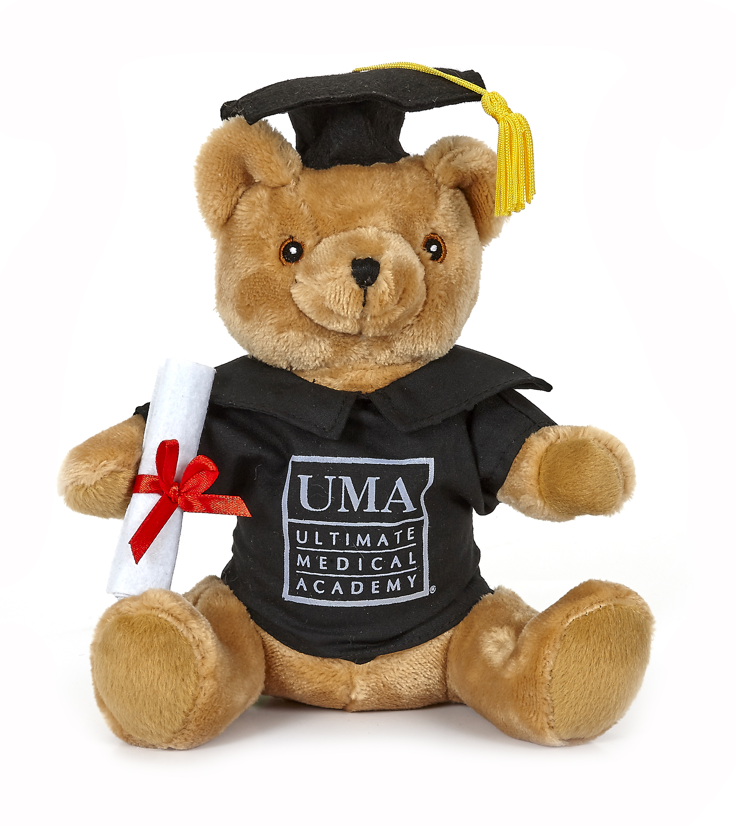 Extra Soft Style 10" Bear with Graduation Uniform 2