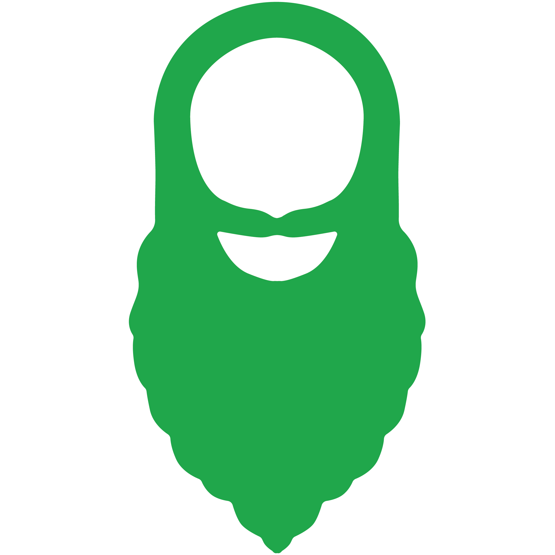 Foam Long Beard Pullover 29