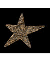 Star Bronze Accent