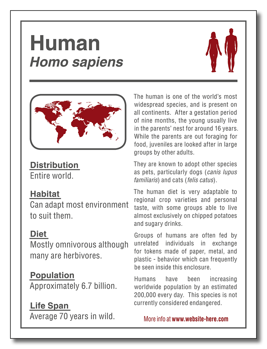 Magnet - 3x4 Square Corners - 25 mil. 2