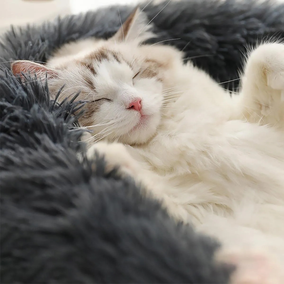 Comfortable Pet Bed 3
