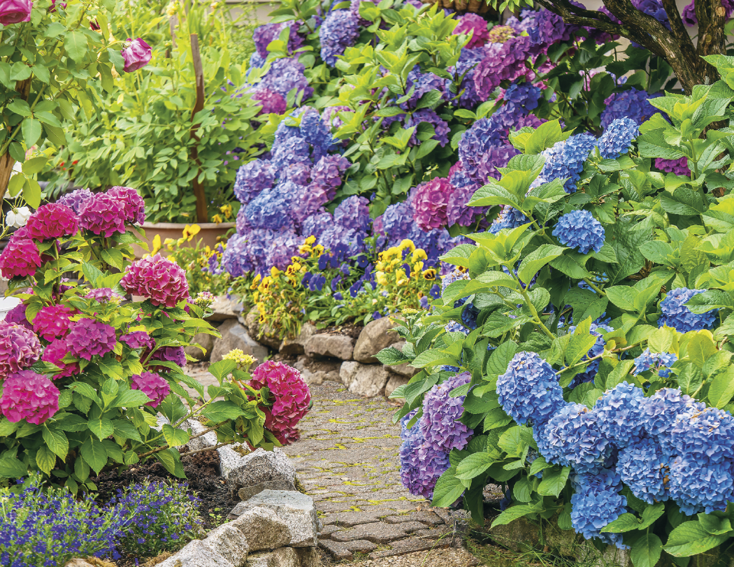 HotLine® Products Gardens Appointment Calendar - Stapled