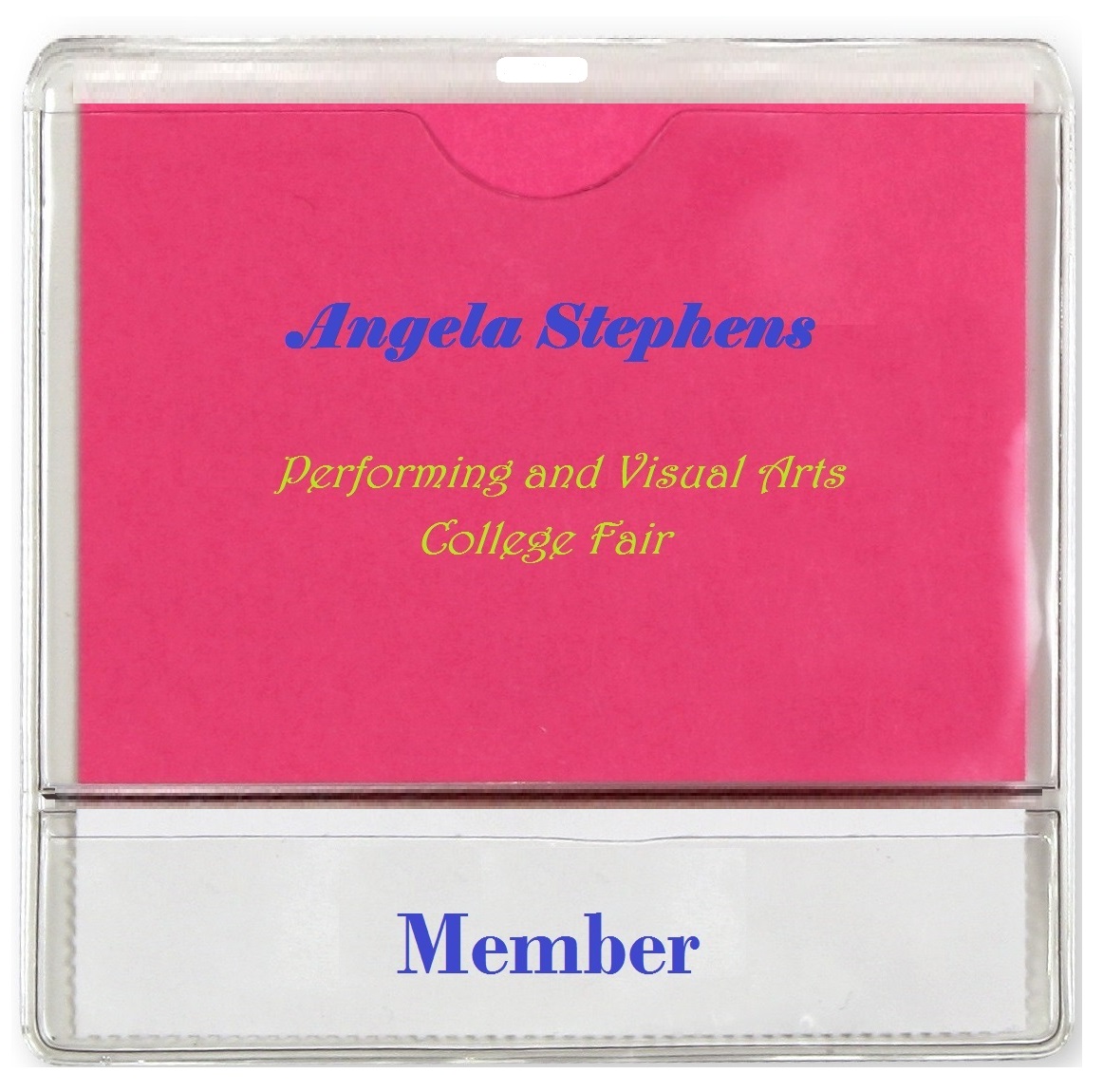 Vaccination Card Holder 1