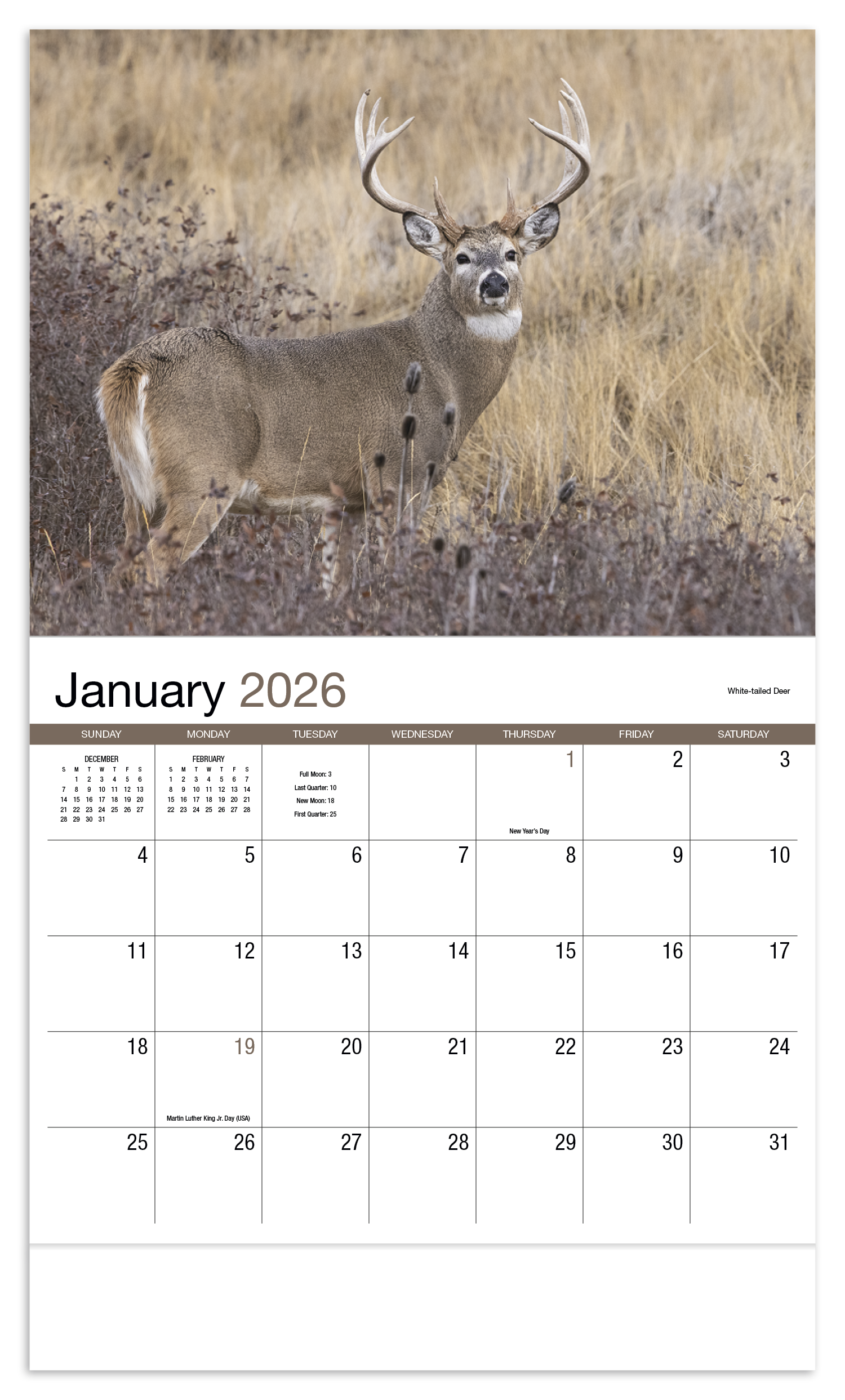 HotLine® Products Wildlife Appointment Calendar - Stapled 8