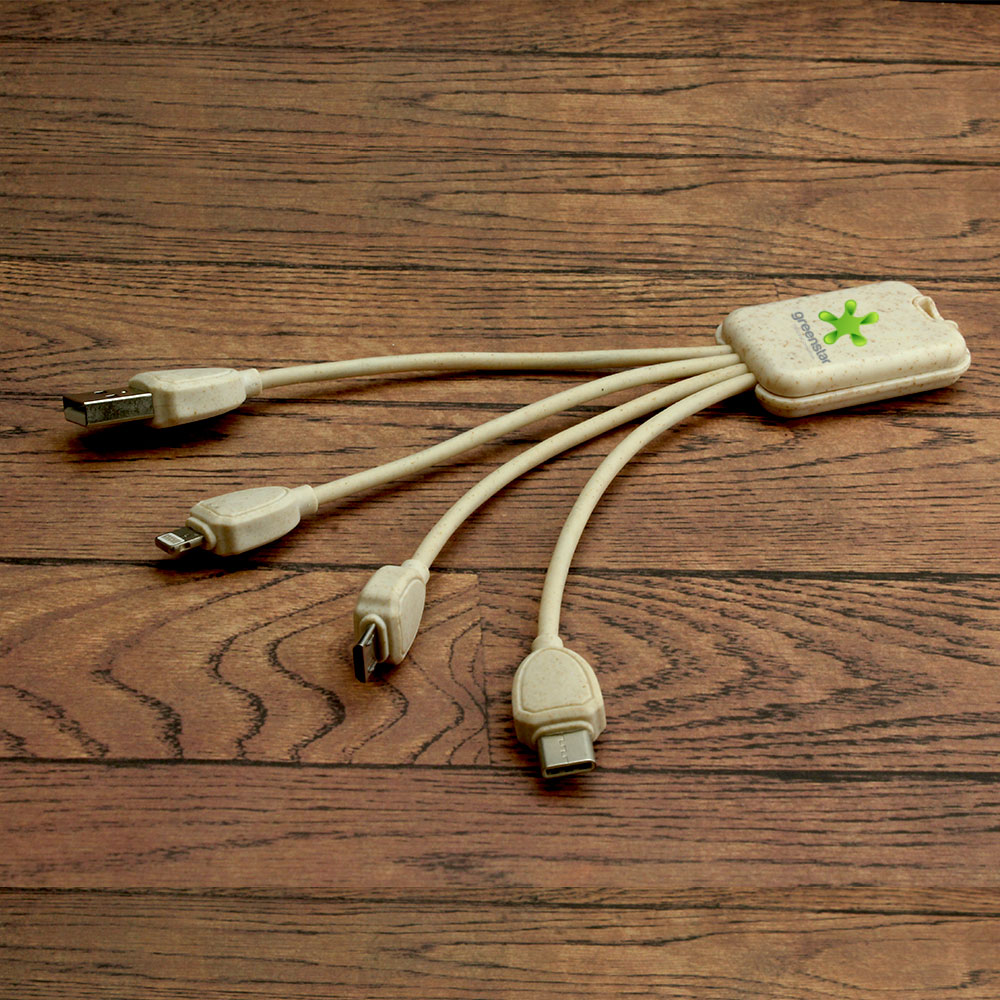 Dual Type C Eco Friendly Charging Cable
