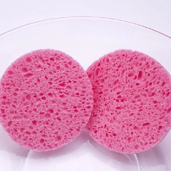 Compressed Facial Sponge 2