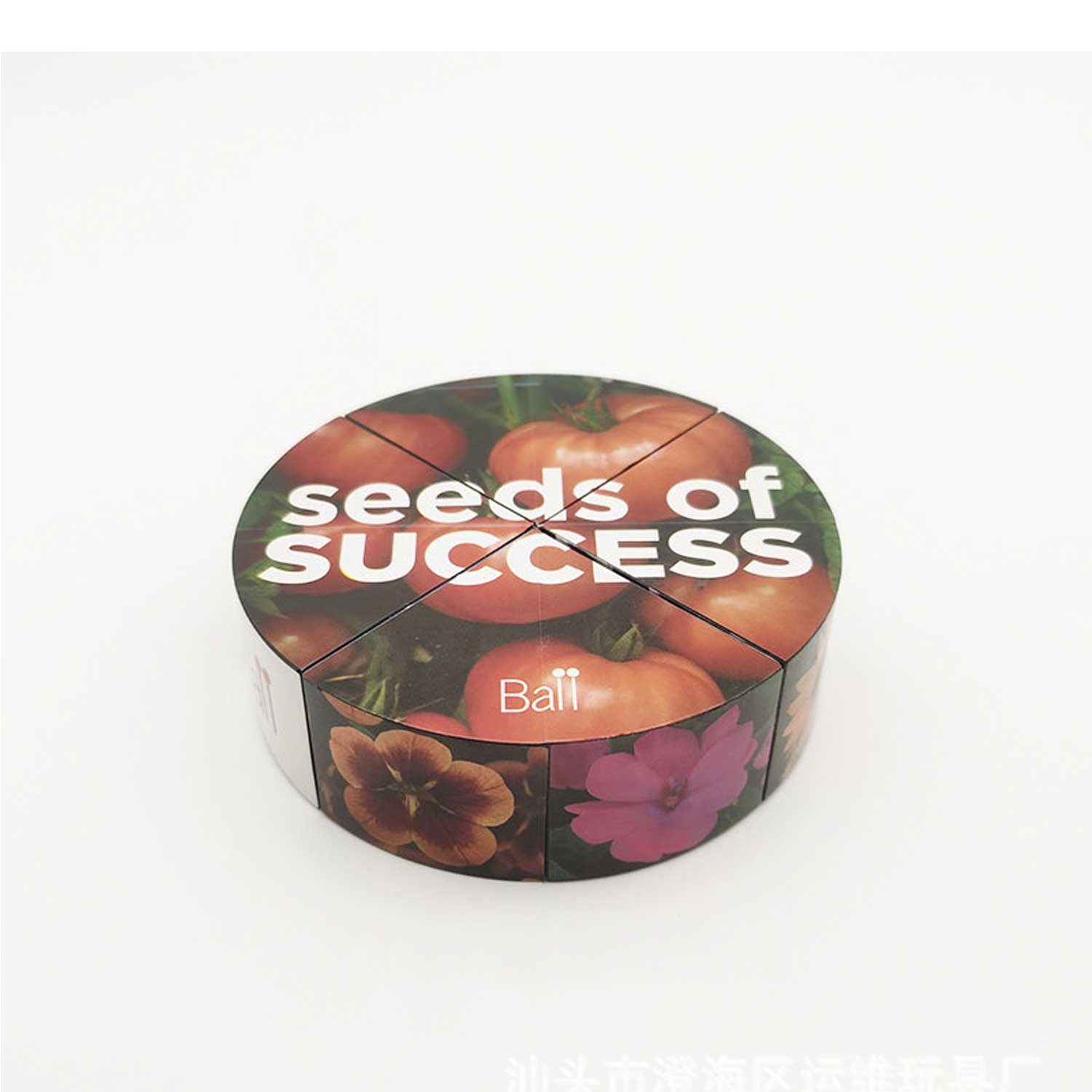 Custom Logo Rubik's Cube Stickers 12