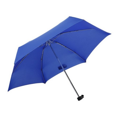 Folding Travel Umbrella With Eva Case 2